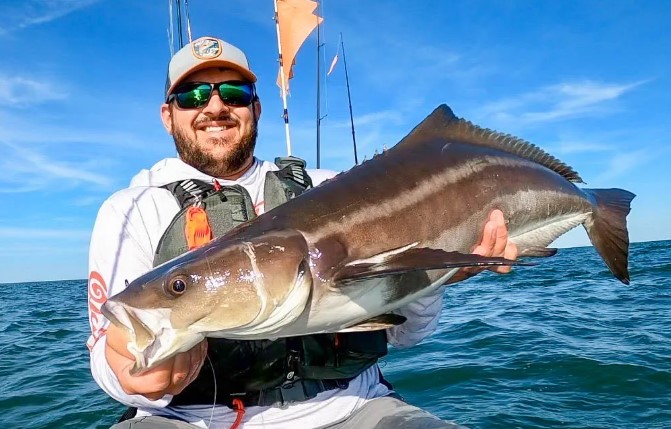 Best Inshore Spinning Reels