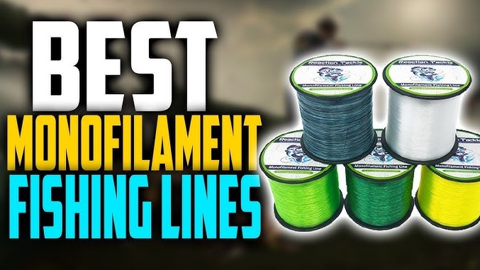 Best Mono Fishing Lines for Spinning Reels
