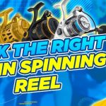 Best Penn Spinning Reels