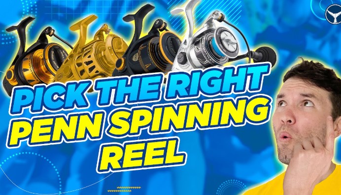 Best Penn Spinning Reels