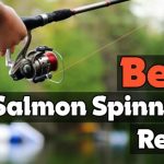Best Salmon Spinning Reels
