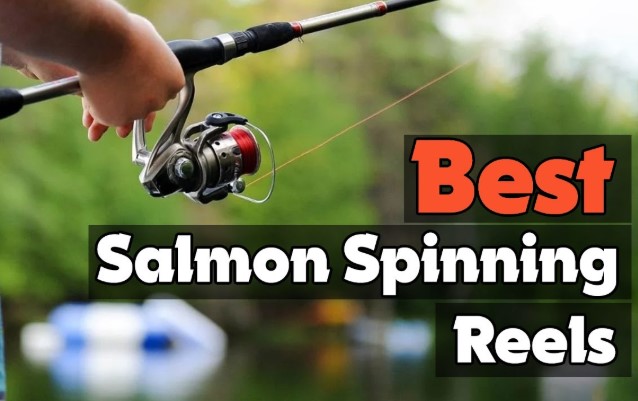 Best Salmon Spinning Reels
