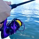 Best Saltwater Fishing Lines for Spinning Reels