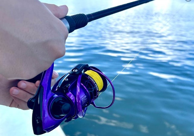 Best Saltwater Fishing Lines for Spinning Reels