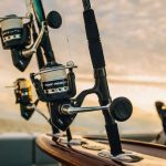 Best Saltwater Spinning Reels for the Money