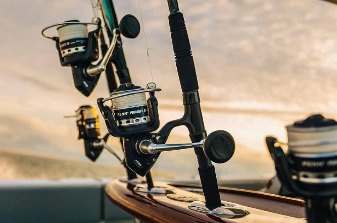 Best Saltwater Spinning Reels for the Money