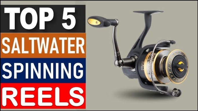 Best Saltwater Spinning Reels