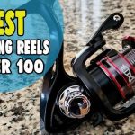 Best Spinning Reels Under 100