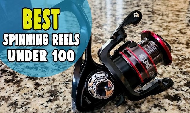 Best Spinning Reels Under 100