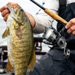 Best Spinning Reels for Bass
