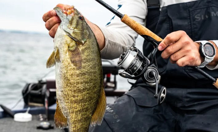 Best Spinning Reels for Bass