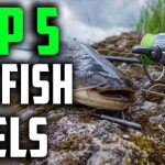Best Spinning Reels for Catfish