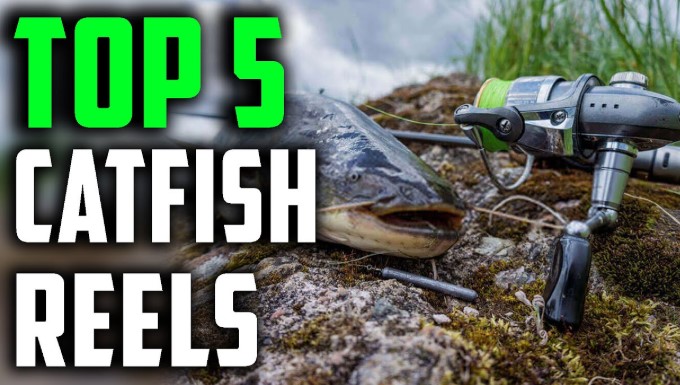 Best Spinning Reels for Catfish