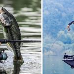 Best Spinning Reels for Crappie