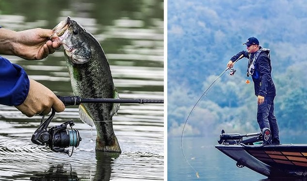 Best Spinning Reels for Crappie