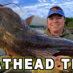 Best Spinning Reels for Flathead Catfish