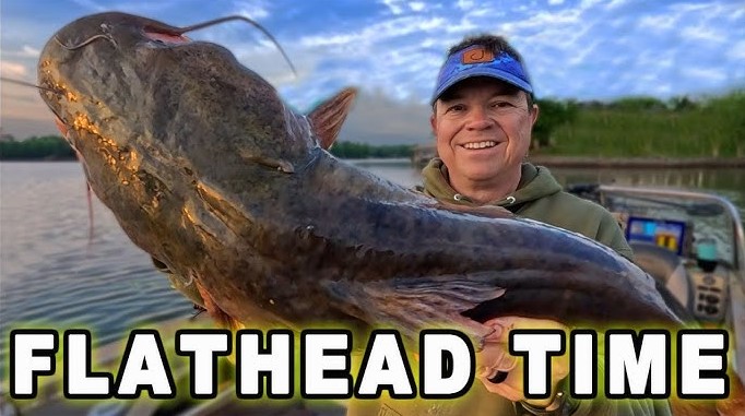 Best Spinning Reels for Flathead Catfish