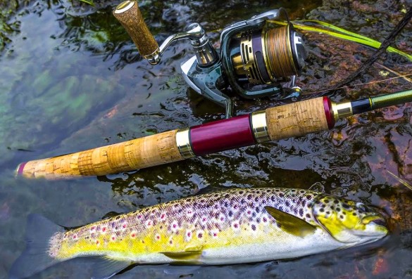 Best Trout Fishing Lines for Spinning Reels