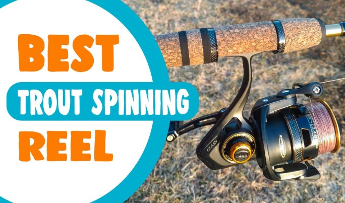 Best Trout Spinning Reels