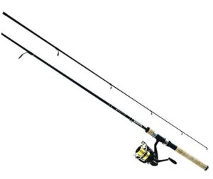 D-shock Spinning Combo By Daiwa