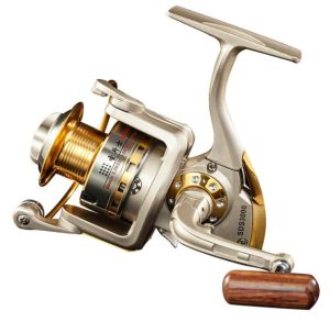 Diwa Spinning Fishing Reels