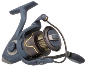 Pflueger President Spinning Fishing Reel
