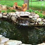 How Big Does a Koi Pond Need to Be for Healthy Fish