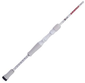Abu Garcia Veritas Casting BFS Fishing Rod