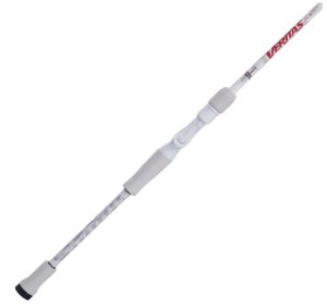 Abu Garcia Veritas Casting BFS Rod