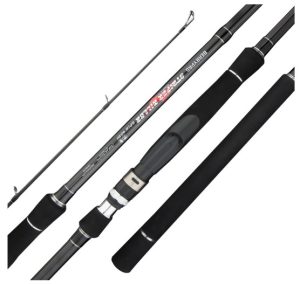 BERRYPRO Light Surf Spinning Rod