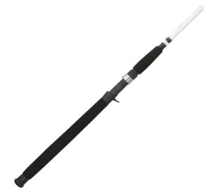 Berkley Big Game Casting Fishing Rod