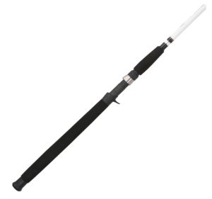 Berkley Big Game Casting Fishing Rod