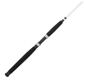 Berkley Big Game Pier Fishing Rod