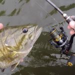 Best Bass Fishing Rods