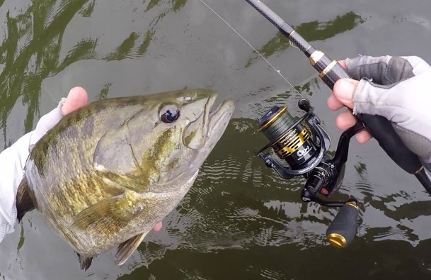 Best Bass Fishing Rods