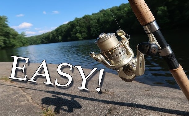 Best Beginner Spinning Reels