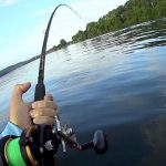Best Catfish Rods