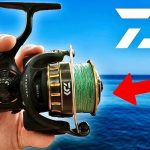 Best Daiwa Saltwater Spinning Reels