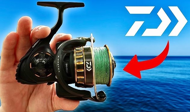 Best Daiwa Saltwater Spinning Reels