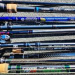 Best Fishing Rods for Beginners