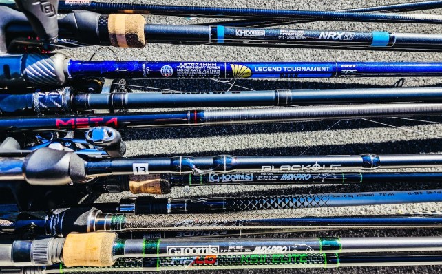 Best Fishing Rods for Beginners