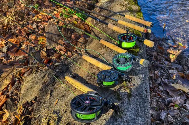 Best Fly Fishing Rods for Beginners