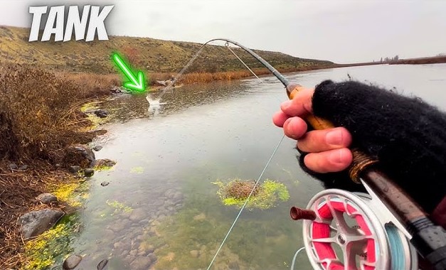 Best Fly Fishing Rods for Trout