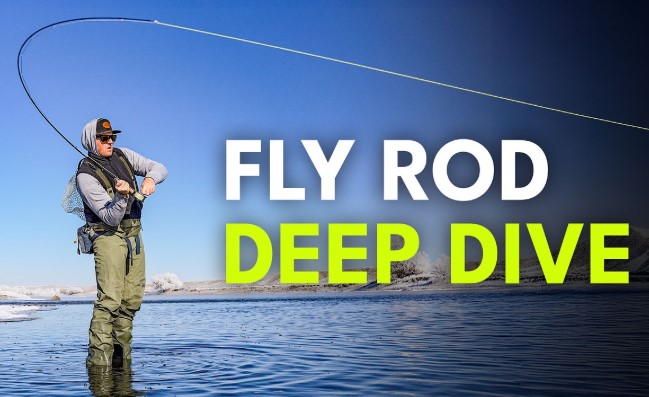 Best Fly Fishing Rods