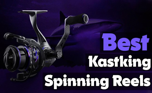 Best KastKing Spinning Reels