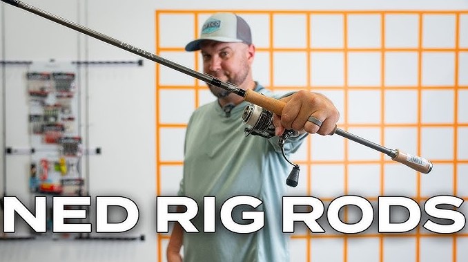 Best Ned Rig Rods