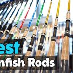 Best Panfish Rods