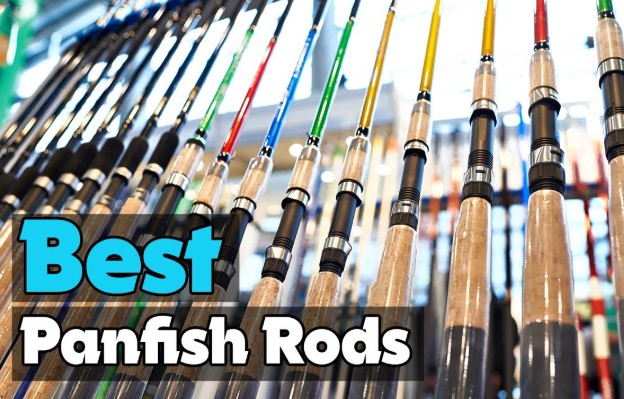 Best Panfish Rods
