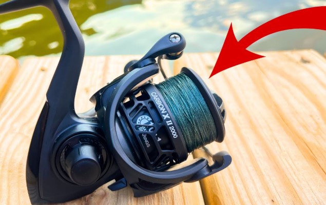 Best Piscifun Spinning Reels