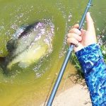 Best Rod and Reel Combos for Peacock Bass